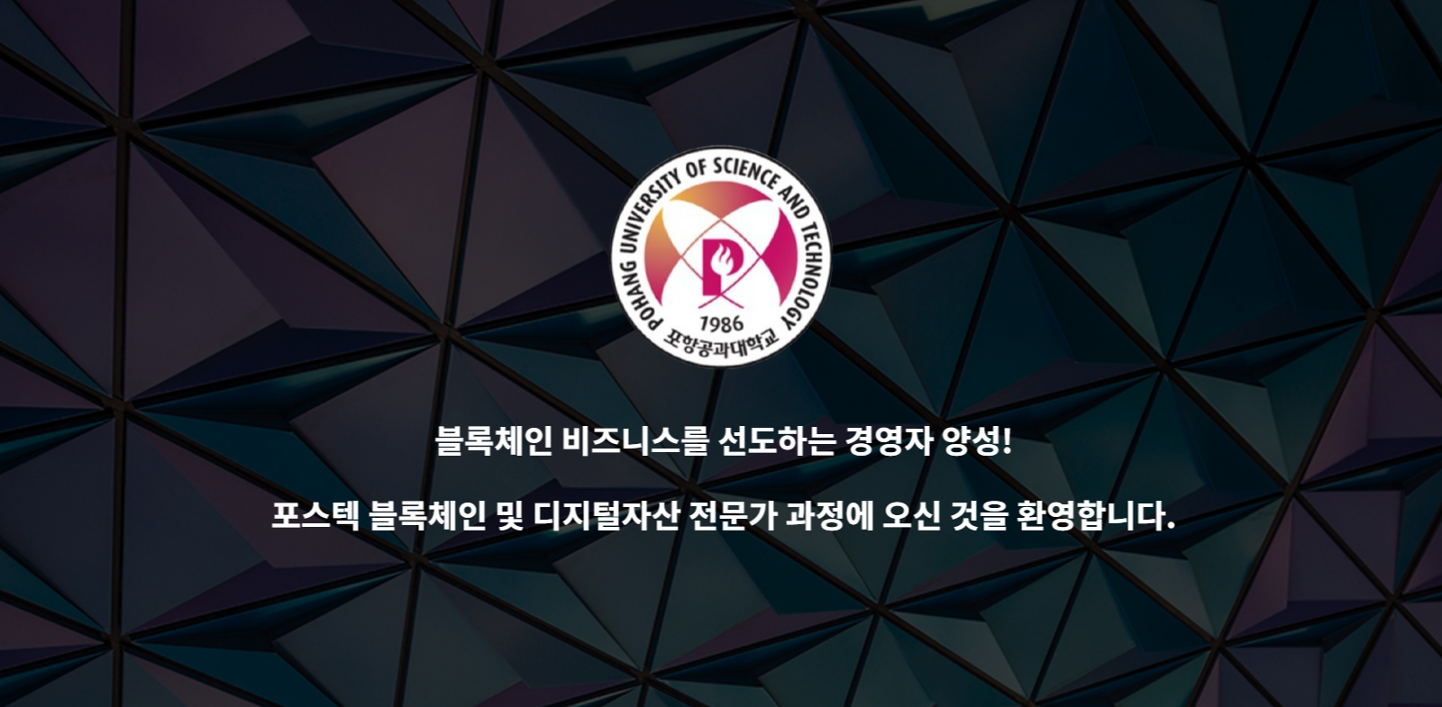 포스텍 블록체인 및 디지털자산 전문가